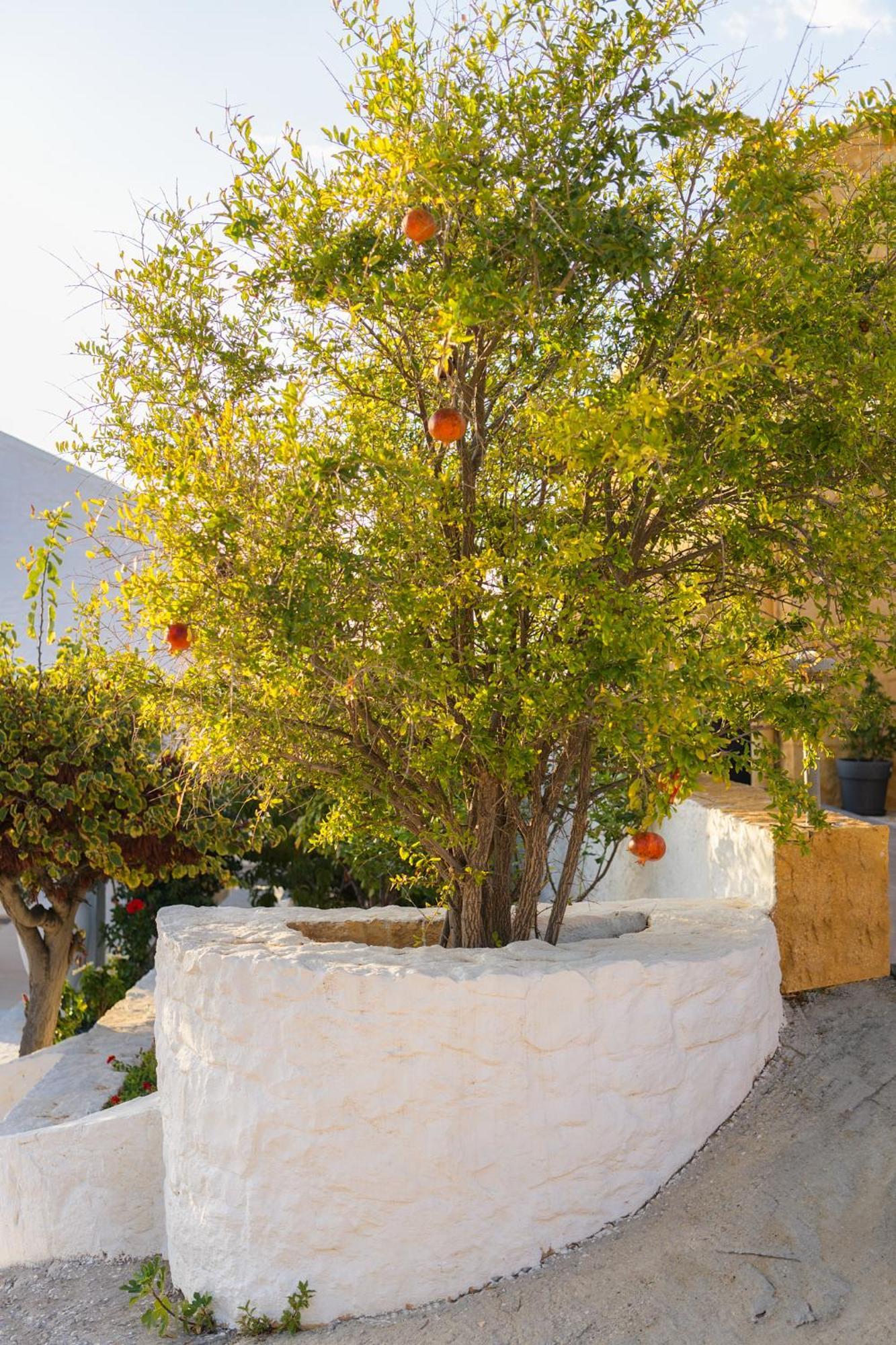 Villa Anton By Cura Villas Collection Kalathas Exterior photo